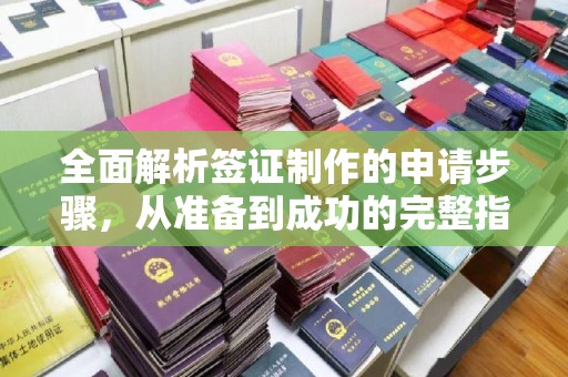 员山全面解析签证制作的申请步骤，从准备到成功的完整指南