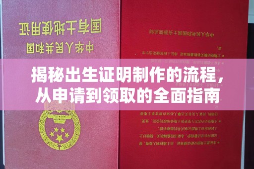 员山揭秘出生证明制作的流程，从申请到领取的全面指南