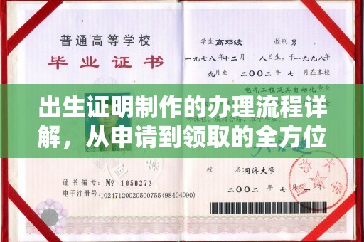 员山出生证明制作的办理流程详解，从申请到领取的全方位指南